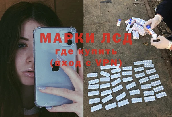 PSILOCYBIN Алексеевка