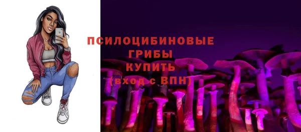 ALPHA-PVP Алексин